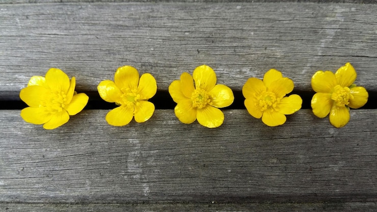 Foto vista ad alta angolazione di fiori gialli sul tavolo