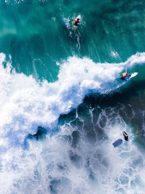 Vista ad alta angolazione di persone che fanno surf in mare