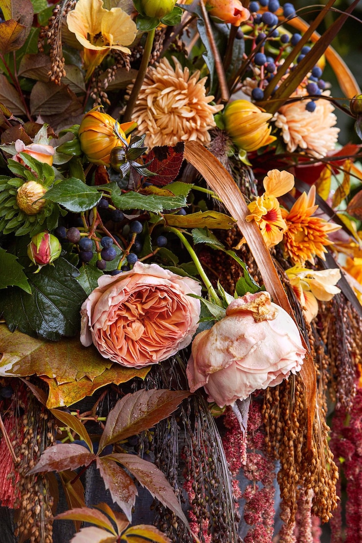 Foto vista ad alta angolazione di piante da fiore appassite