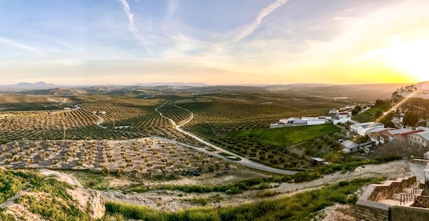 Vista ad alta angolazione di un campo agricolo contro il cielo