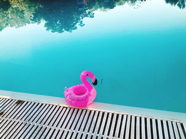 Vista ad alta angolazione di un giocattolo di fenicottero in piscina