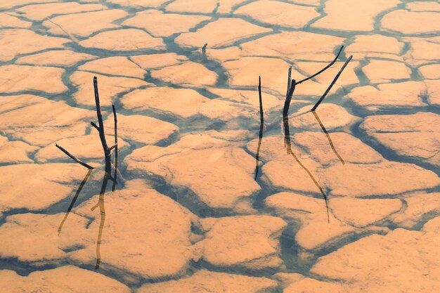 Vista ad alto angolo dei bastoni in acqua