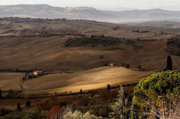 Vista ad alto angolo del campo agricolo