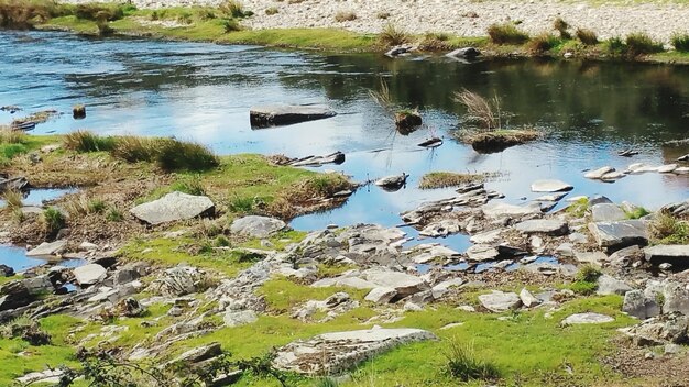 Vista ad alto angolo del fiume