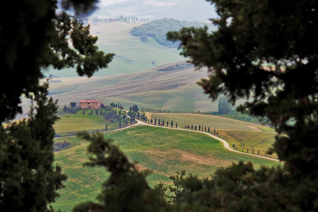 Vista ad alto angolo del paesaggio coltivato