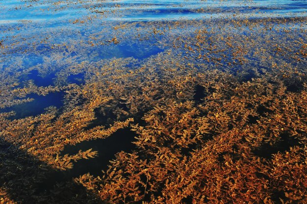 Vista ad alto angolo dell'acqua