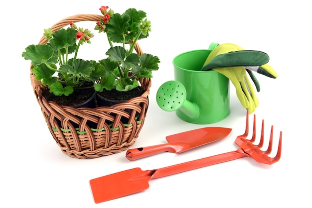 Vista ad alto angolo dell'impianto con attrezzature da giardinaggio su sfondo bianco