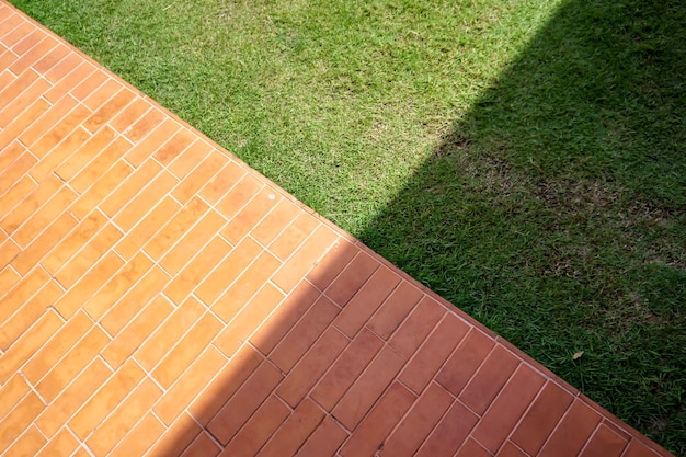 Vista ad alto angolo dell'ombra sul sentiero