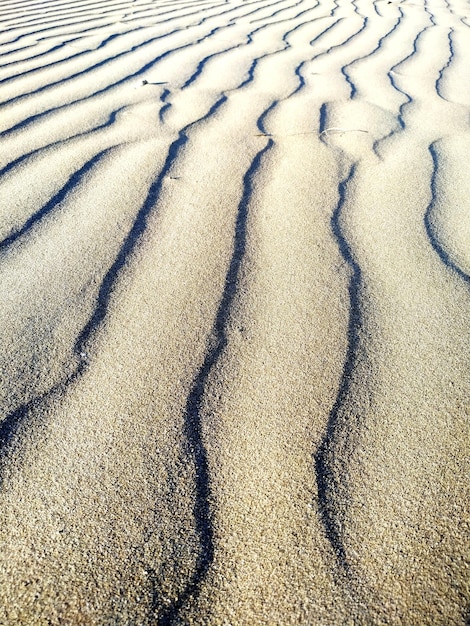 Vista ad alto angolo dell'ombra sulla sabbia