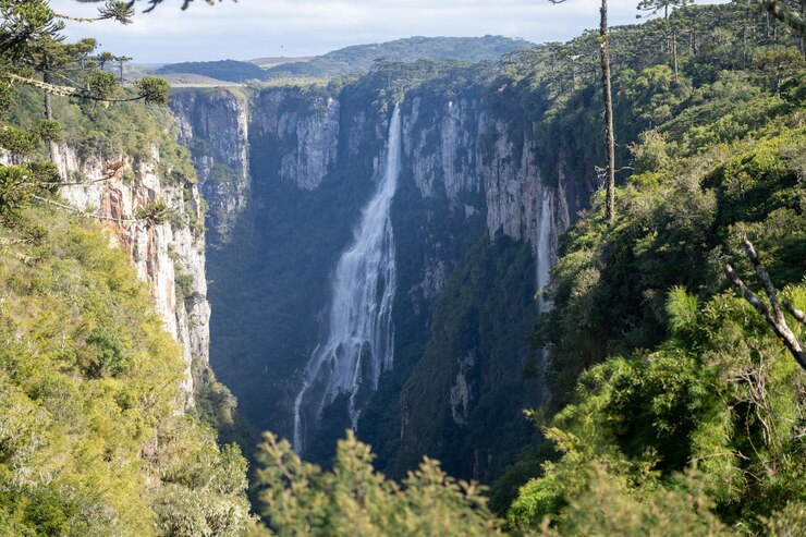 Foto vista ad alto angolo della cascata in mezzo agli alberi