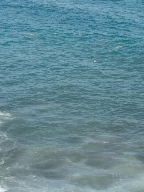 Vista ad alto angolo della piscina in mare