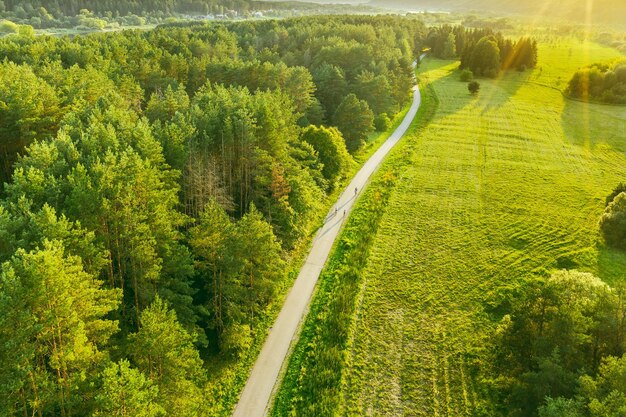 Vista ad alto angolo della strada in mezzo agli alberi