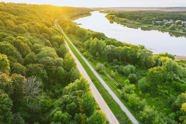 Vista ad alto angolo della strada in mezzo agli alberi