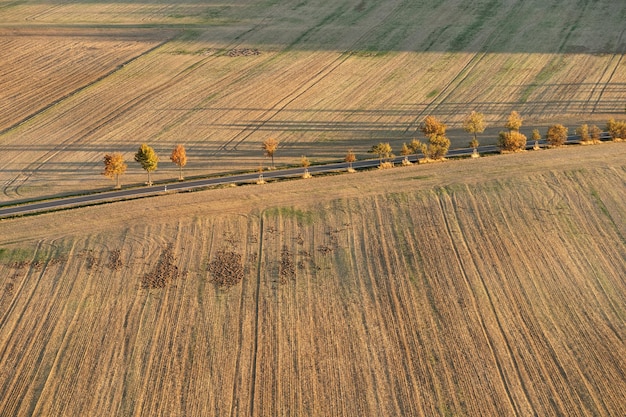 Vista ad alto angolo della strada in mezzo al campo