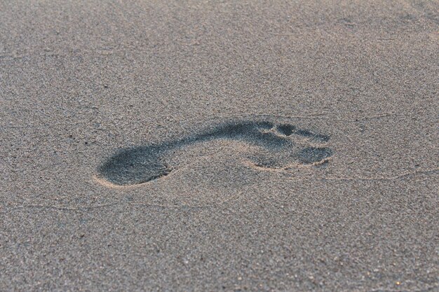 Vista ad alto angolo delle impronte sulla sabbia della spiaggia