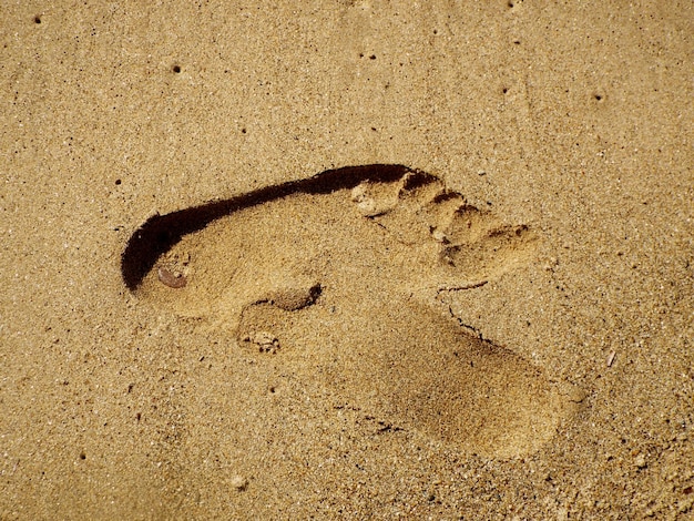 Vista ad alto angolo delle impronte sulla sabbia della spiaggia