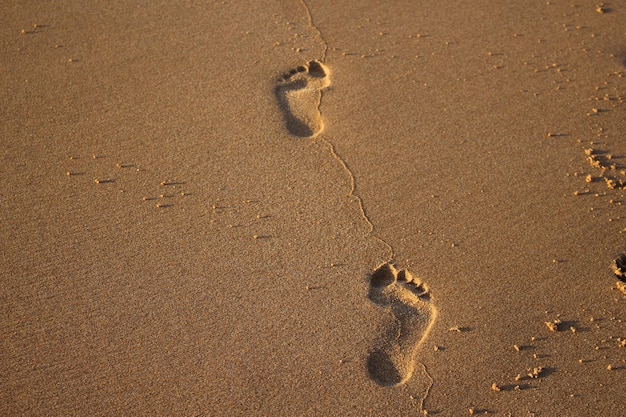 Vista ad alto angolo delle impronte sulla sabbia della spiaggia
