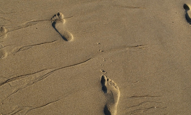 Vista ad alto angolo delle impronte sulla spiaggia sabbiosa