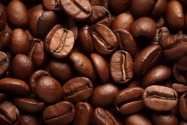 Vista ad alto angolo di chicchi di caffè su sfondo bianco