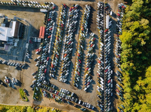 Vista ad alto angolo di ombrelli multicolori appesi all'albero