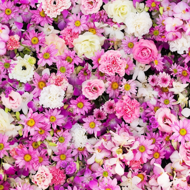 Vista ad alto angolo di piante a fiori rosa