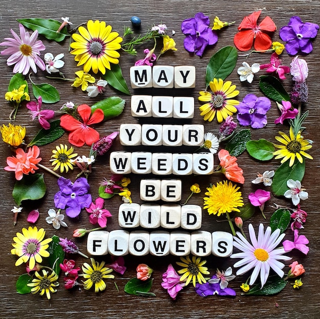Vista ad alto angolo di un messaggio di testo in stile boho fatto con fiori selvatici