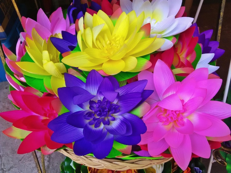 Foto vista ad alto angolo di una pianta a fiori viola
