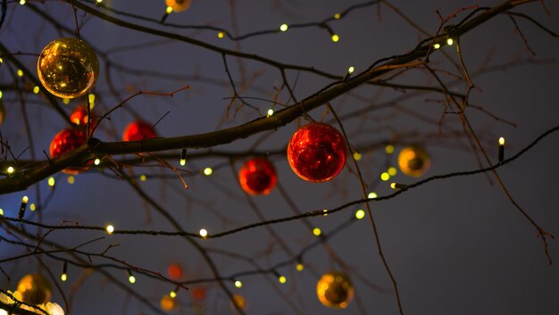 Vista ad angolo basso dell'albero di Natale