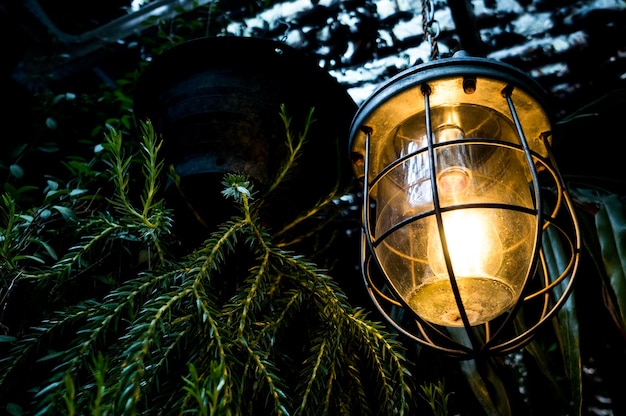 Vista ad angolo basso della lampada elettrica illuminata