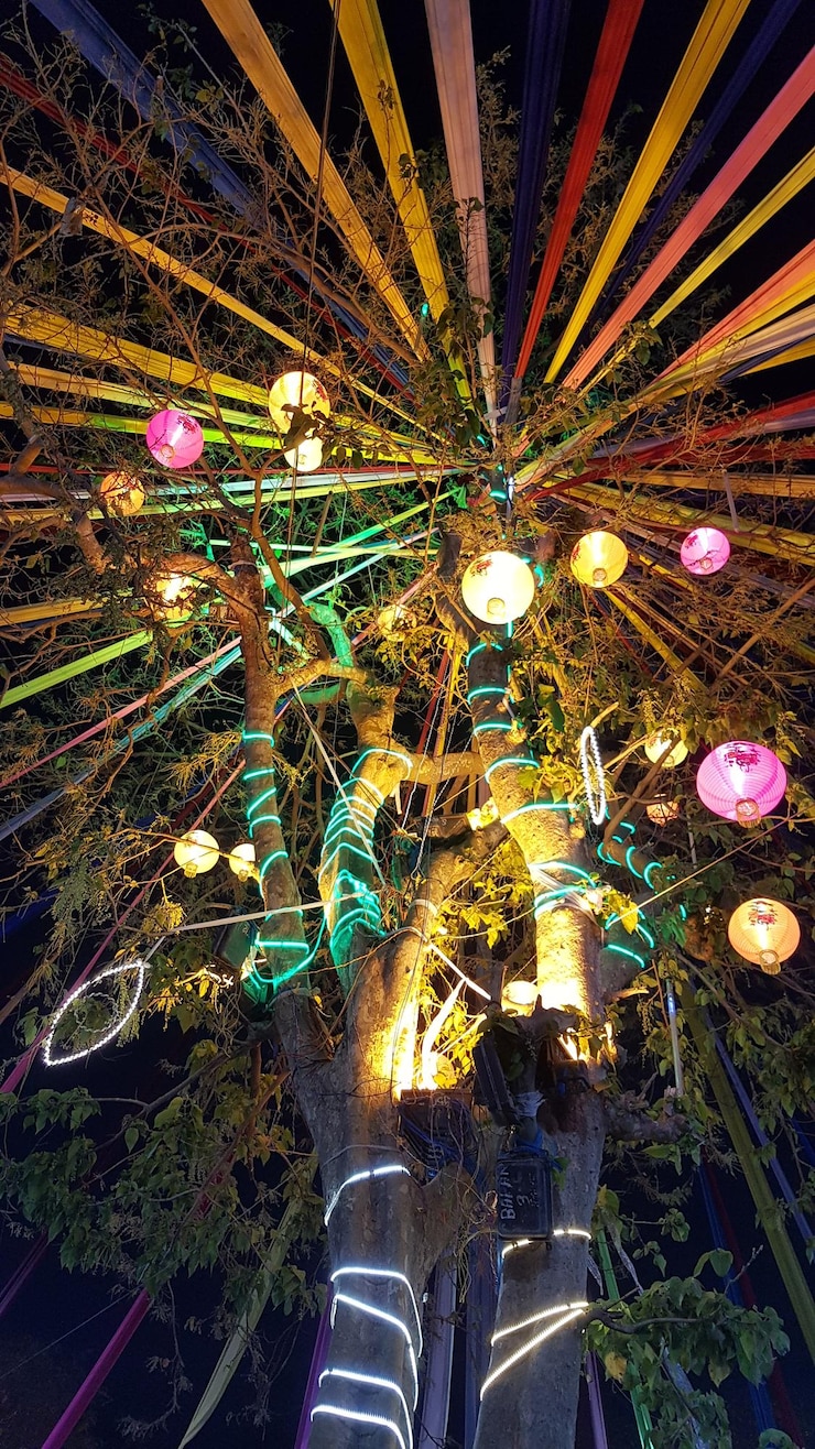 Foto vista ad angolo basso delle luci illuminate di notte