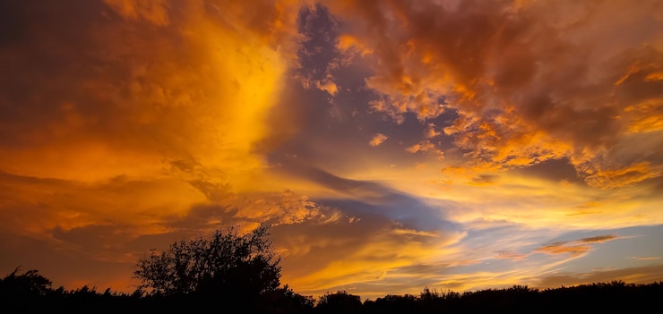 Foto vista ad angolo basso delle silhouette degli alberi contro il cielo drammatico