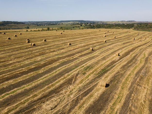 Vista aerea al campo raccolto con le balle della paglia di estate