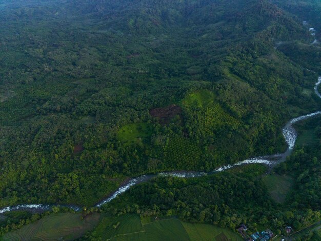 Vista aerea bella vista mattutina dall'Indonesia su montagna e foresta