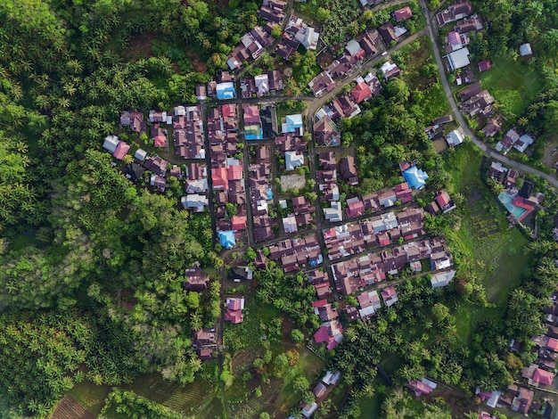 Vista aerea bella vista mattutina dall'Indonesia su montagna e foresta