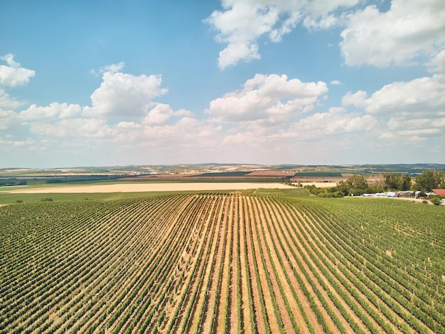 vista aerea campi agricoli cielo