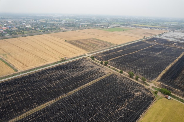 Vista aerea da un drone volante di un campo di riso con un paesaggio verde a sfondo naturale vista dall'alto