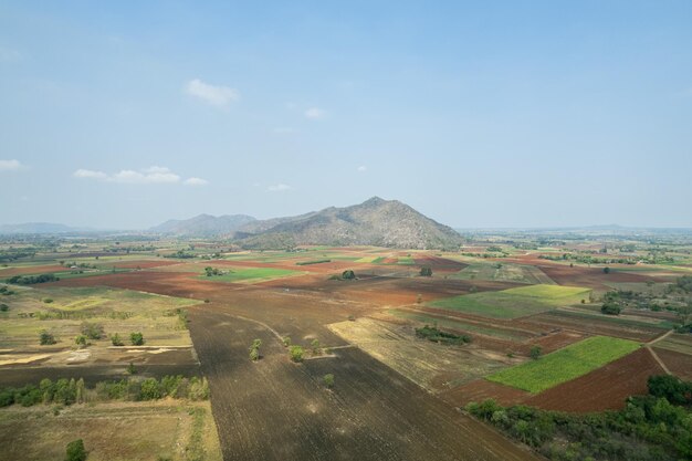 Vista aerea dal drone volante del campo di riso con paesaggio verde modello natura sfondo vista dall'alto campo di riso