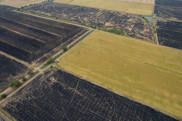 Vista aerea dal drone volante del campo di riso con paesaggio verde modello natura sfondo vista dall'alto campo di riso