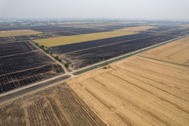 Vista aerea dal drone volante del campo di riso con paesaggio verde modello natura sfondo vista dall'alto campo di riso