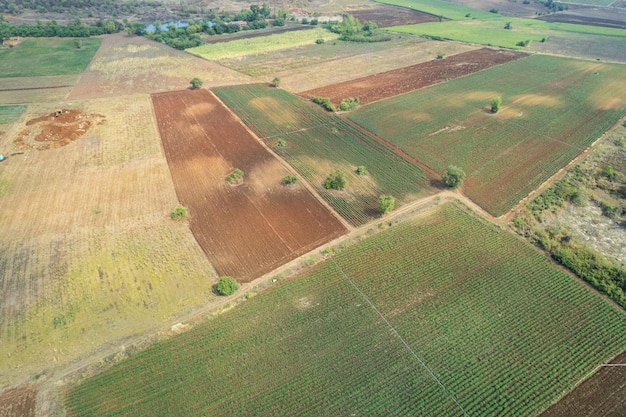 Vista aerea dal drone volante del campo di riso con paesaggio verde modello natura sfondo vista dall'alto campo di riso