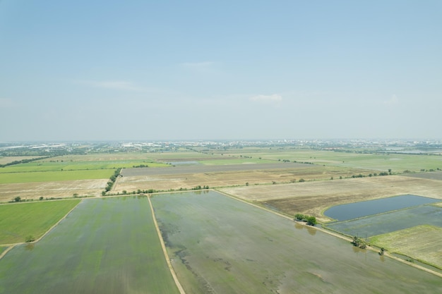 Vista aerea dal drone volante del campo di riso con paesaggio verde modello natura sfondo vista dall'alto campo di riso