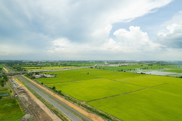 Vista aerea dal drone volante del campo di riso con paesaggio verde modello natura sfondo vista dall'alto campo di riso