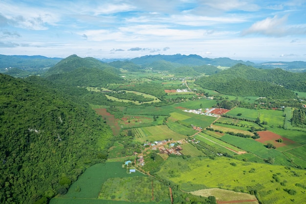 Vista aerea dal drone volante del campo di riso con paesaggio verde modello natura sfondo vista dall'alto campo di riso