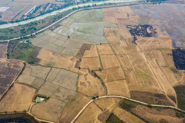 Vista aerea dal drone volante di riso di campo con sfondo natura modello paesaggio verde, riso campo vista dall'alto