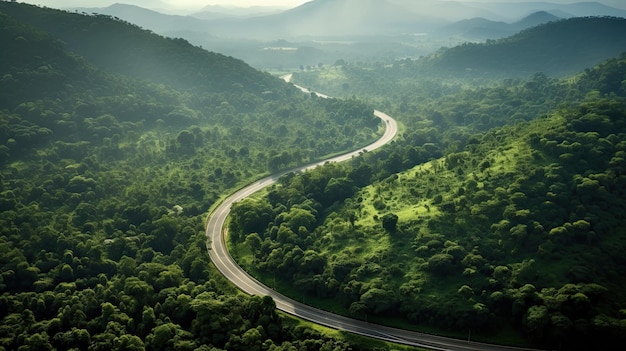 Vista aerea dall'alto bella strada curva sulla foresta verde nella stagione delle piogge