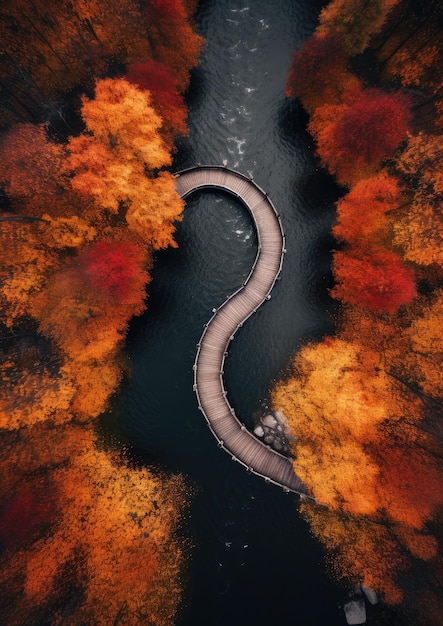 Vista aerea dall'alto del drone dal cielo alla foresta colorata autunnale e al fiume Generativo Ai