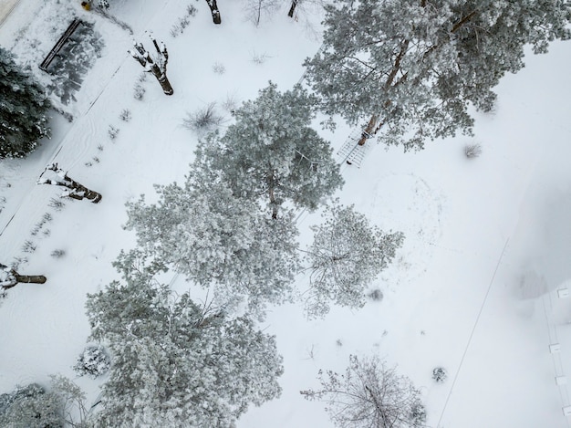 Vista aerea dall'alto della foresta innevata d'inverno