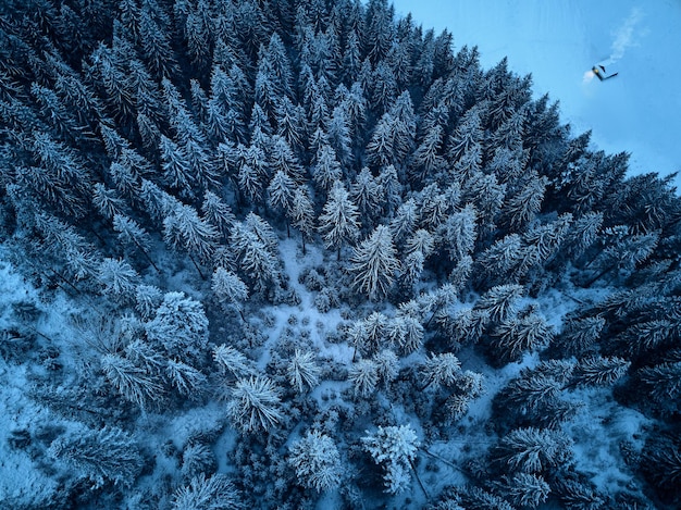 Vista aerea dall'alto della foresta invernale coperta di neve Vista dall'alto della foresta di abeti Casa eremita solitaria con calda luce incandescente dalla finestra sul bordo del bosco di pini Fumo dal camino Concetto di solitudine