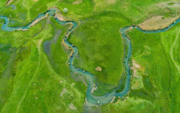 Vista aerea dall'alto della montagna della foresta nel Kazakistan asiatico