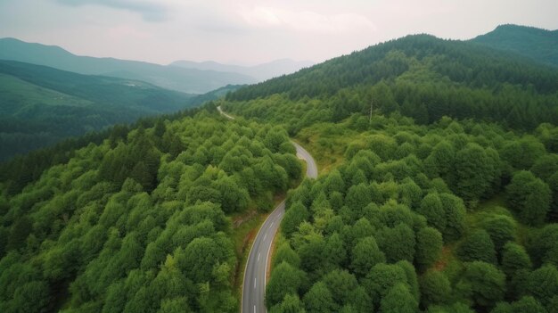 Vista aerea dall'alto della strada asfaltata attraverso la foresta verde ambiente sano della foresta pluviale IA generativa